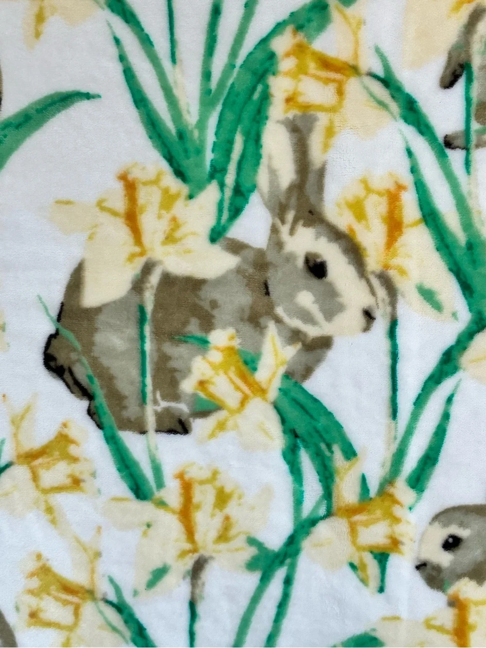 50x72 Bunny Daffodil Plush Fleece Throw Blanket Easter Spring Rabbit Soft